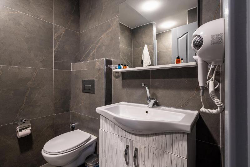 One-Bedroom Apartment image 4