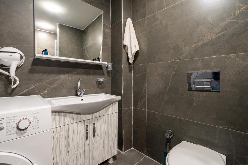 One-Bedroom Apartment image 4