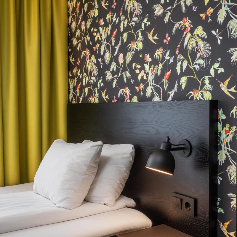 Standard Single Room image 3