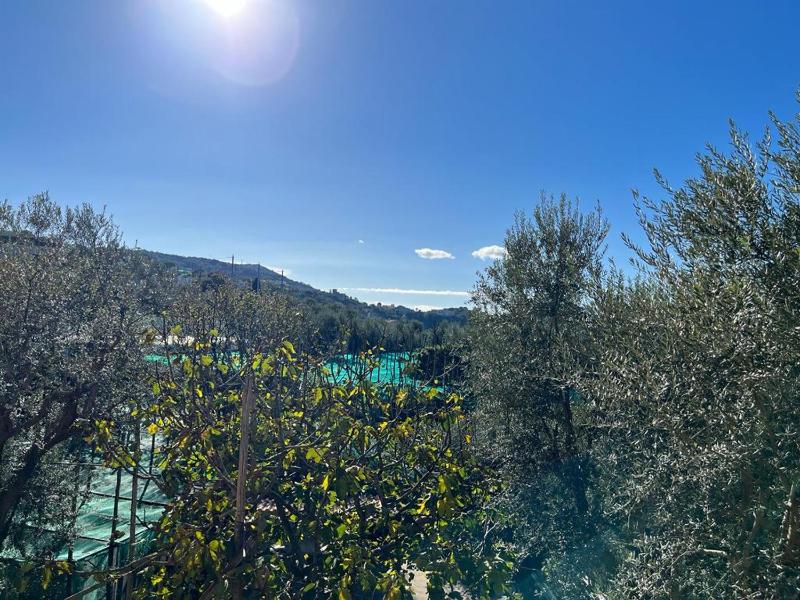 Casa Vacanze Il Frutteto - image 19