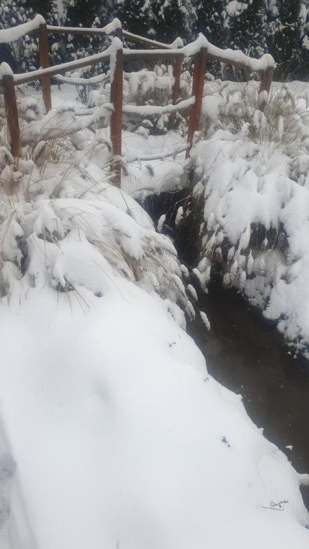 Apartment with Balcony image 4