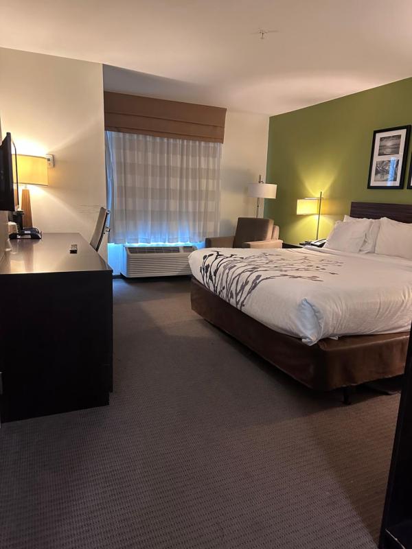 King Room - Accessible/Non-Smoking image 4