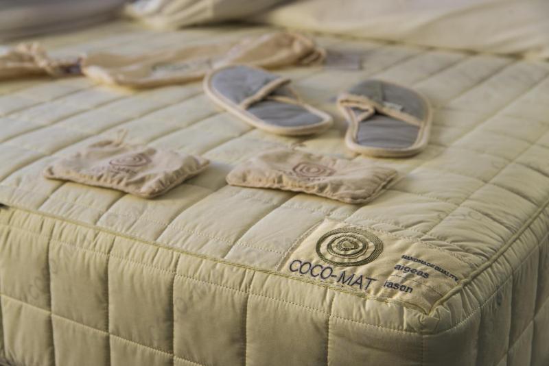 Ores Boutique Hotel - image 16
