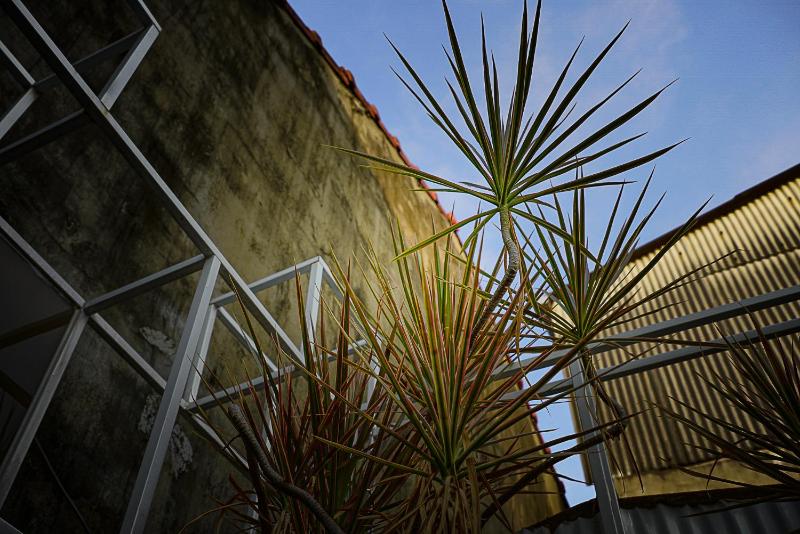 PUSU Inn - image 14