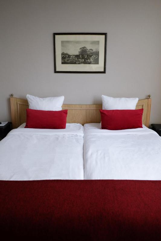 Economy Twin Room image 4