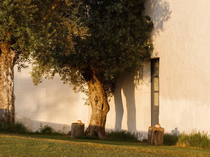 Twin or Double Room - Winery image 2