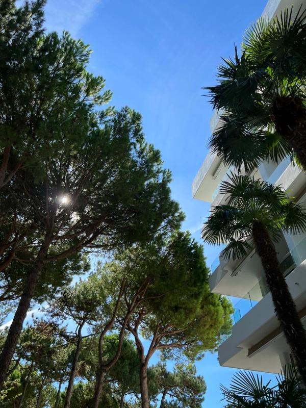 Hotel Greif - image 7