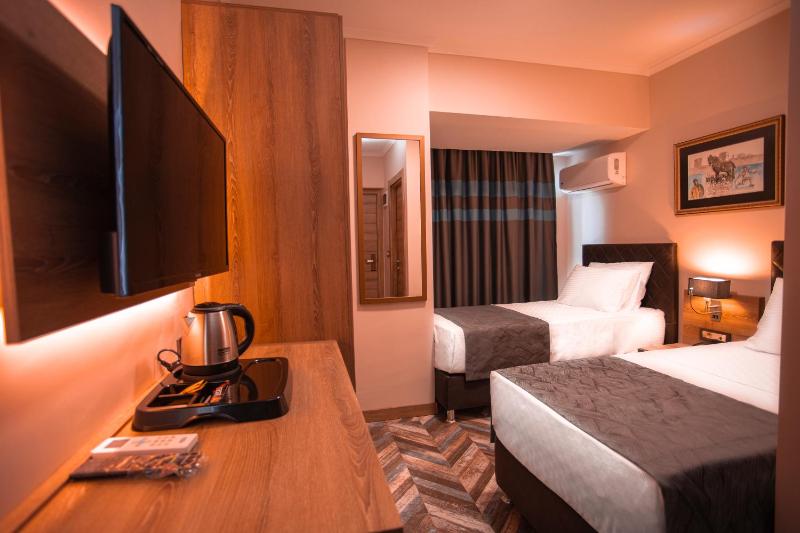 Standard Twin Room image 4