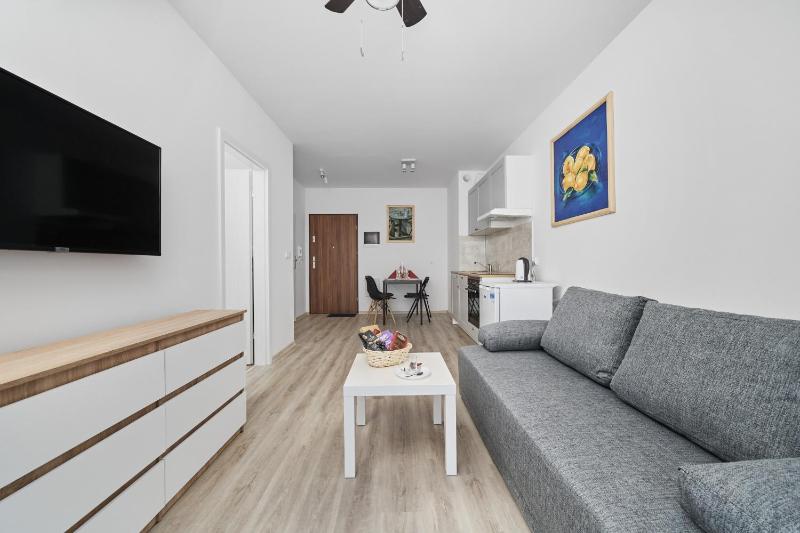 Drabika Apartment Balcony & Private Parking Wrocław by Noclegi Renters - image 10