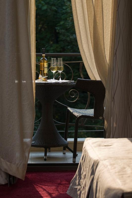 Superior Double or Twin Room with Terrace image 3