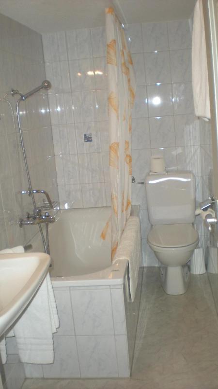 Single Room image 4