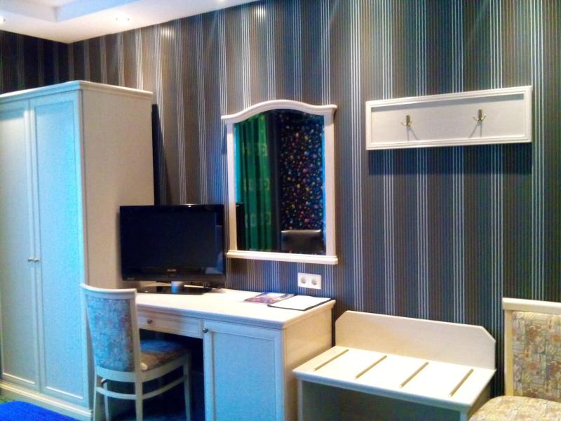 Superior Single or Double Room image 4