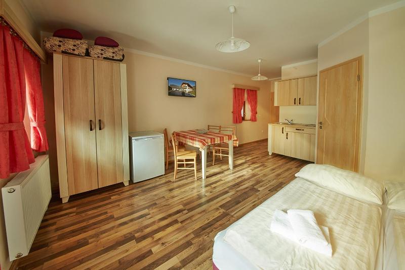 One-Bedroom Apartment image 4