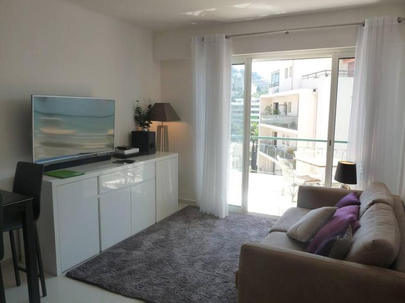 Two bedroom apartment next to the Croisette in Cannes a short walk to the Palais des Festivals - 1961 - image 21