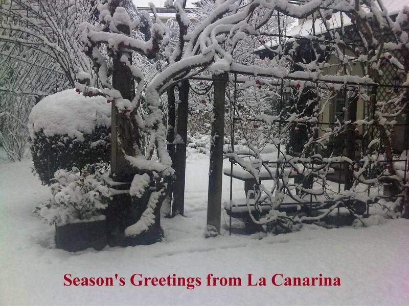 La Canarina Bed & Breakfast - image 23