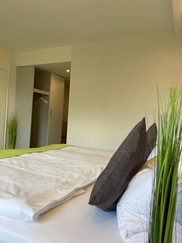 Superior Double Room image 4