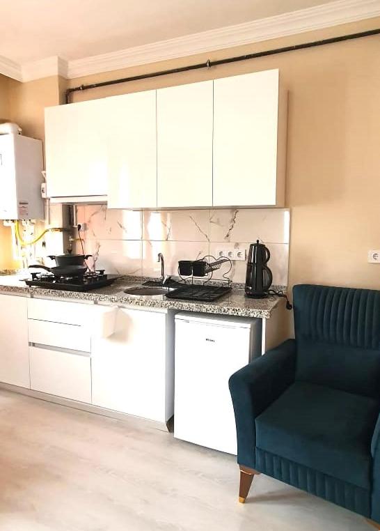 One-Bedroom Apartment image 1
