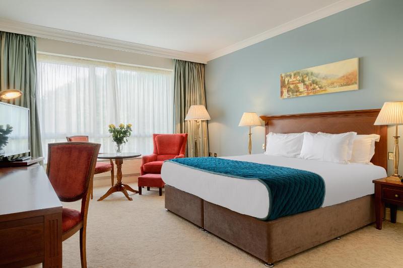 Superior Double Room image 4