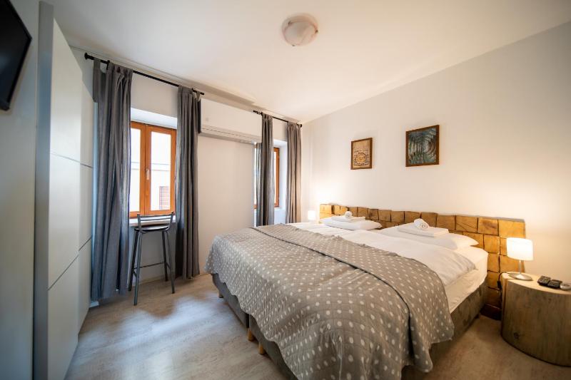 Double or Twin Room image 4