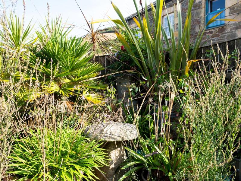 The Moonbeach Cabin - image 8