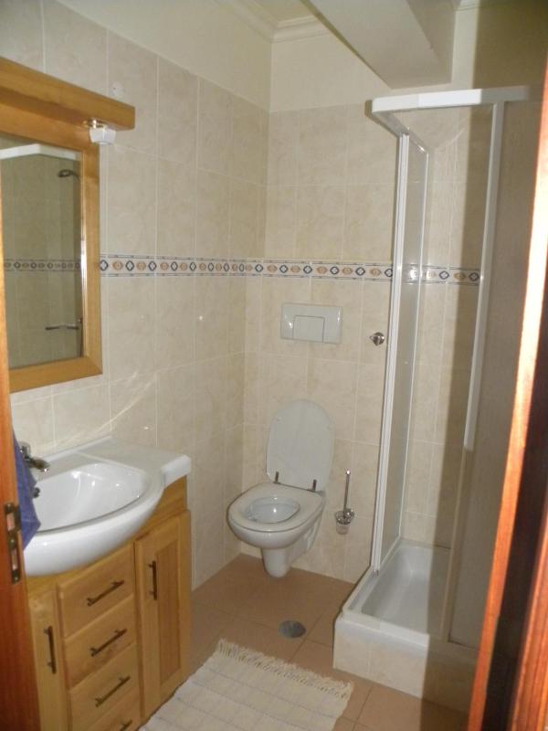 One-Bedroom Apartment (3 Adults) image 4