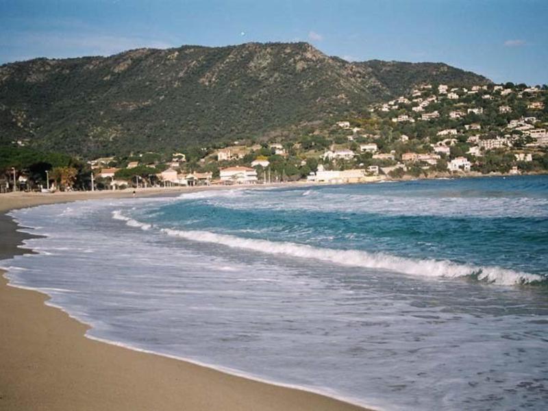 Studio coin nuit 4 pers parking animaux admis proche plage - Le Lavandou - FR-1-251-230 - image 6