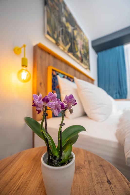 Standard Double or Twin Room image 4