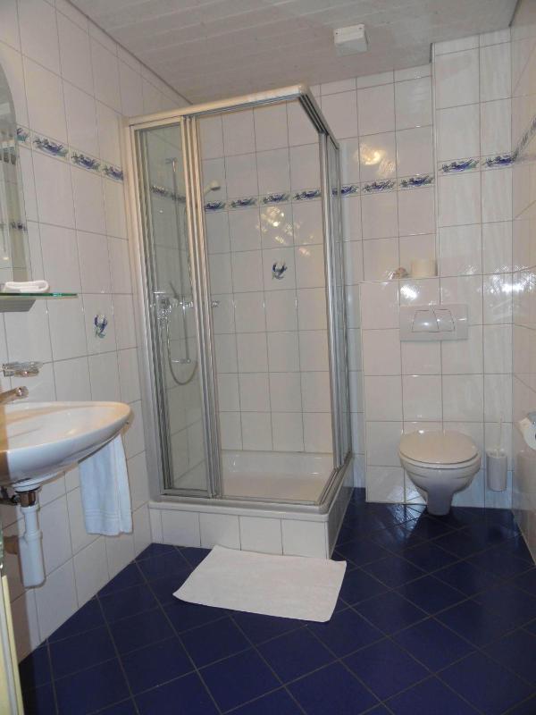Single Room image 3