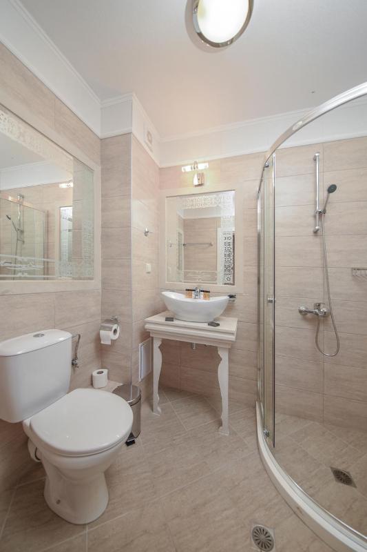 Deluxe One-Bedroom Apartment image 4