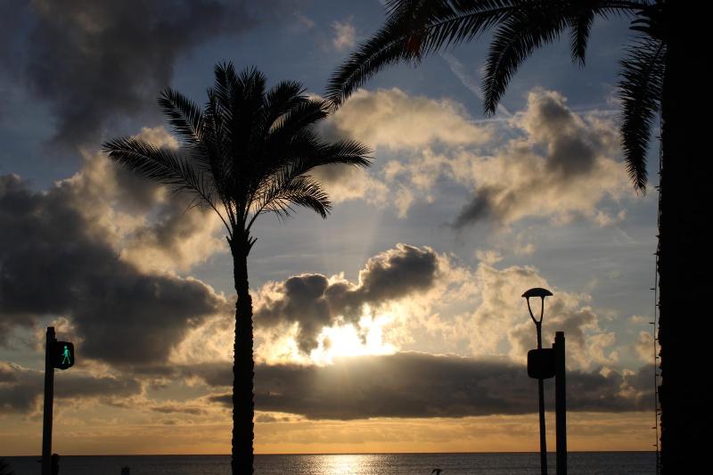Hôtel La Villa des Oliviers Seaside Hotel - image 11
