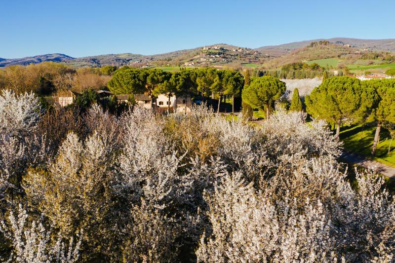 Hotel La Torretta - image 50