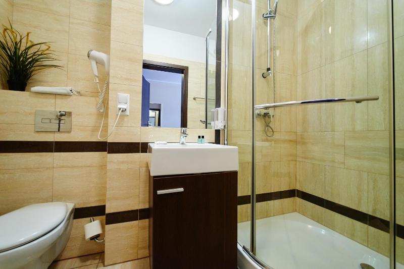 One-Bedroom Apartment image 4