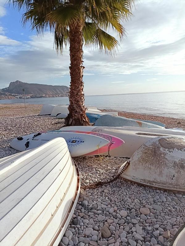 Altea Flying Whale - image 32