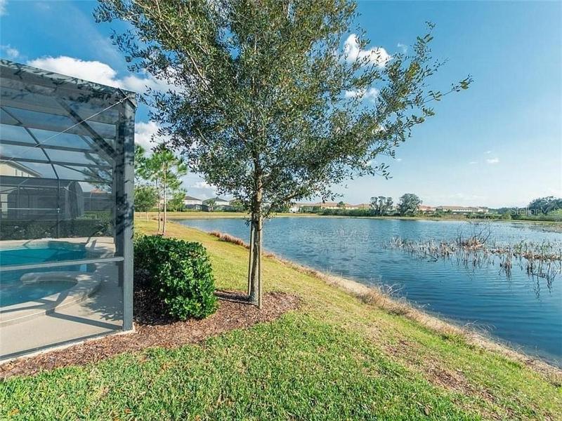Perennial Paradise at Solterra Resort condo - image 46