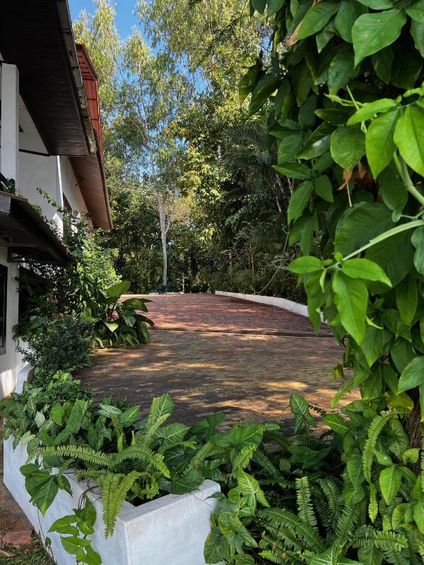 Lao Lake House - image 7