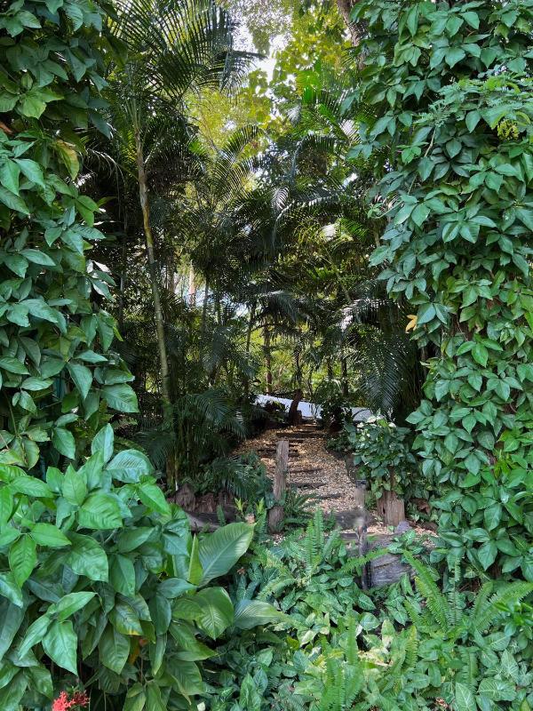 Lao Lake House - image 6