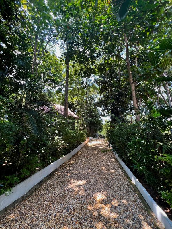 Lao Lake House - image 9