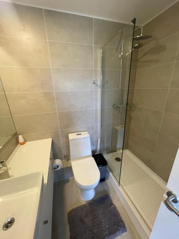 Pucón Apartment - image 13