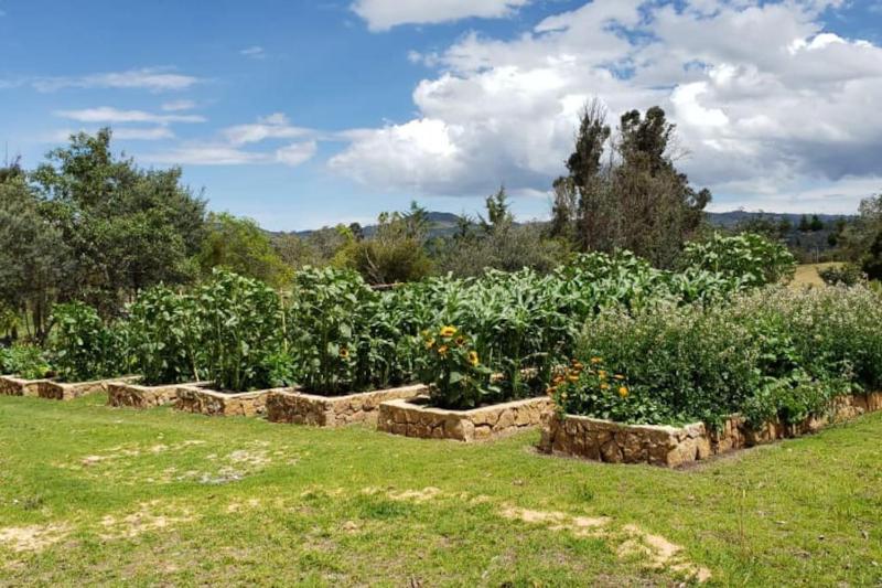 Hermosa cabaña rural Portal de Alejandría - image 25