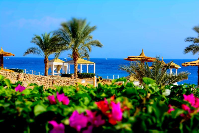 Royal Monte-Carlo Sharm Resort & SPA - image 18