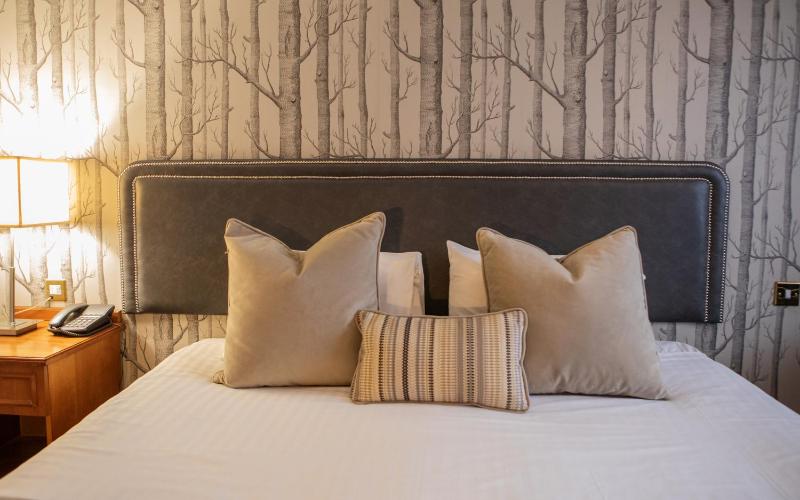 Standard Double Room image 3