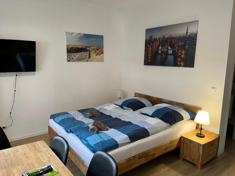 One-Bedroom Apartment image 2