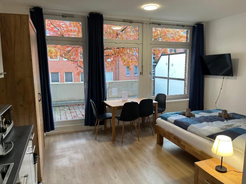 One-Bedroom Apartment image 3