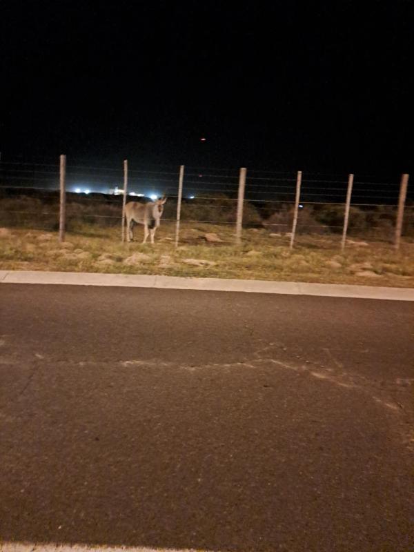 Two-Bedroom Apartment image 3