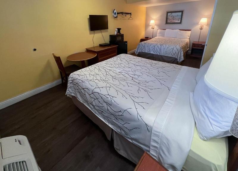 Quadruple Room - Non-Smoking image 2