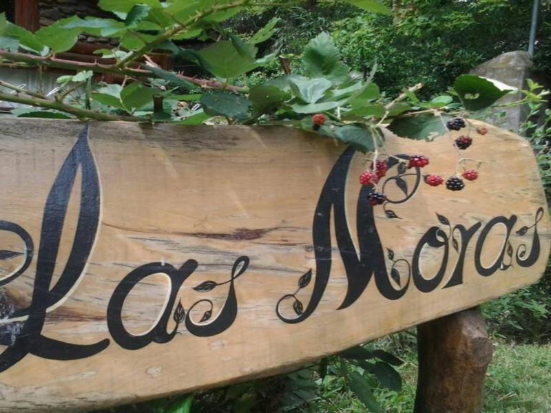 Cabañas Las Moras - image 7