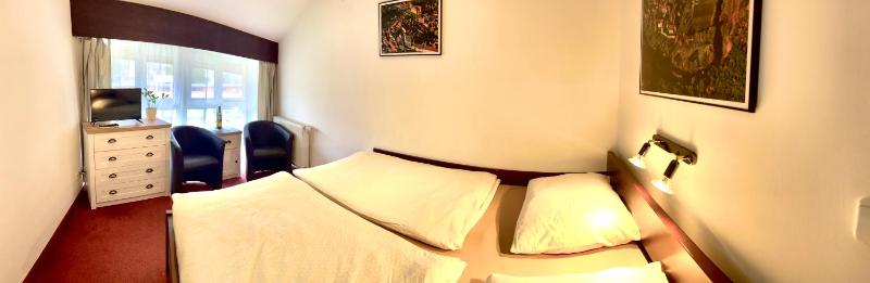Double or Twin Room image 1