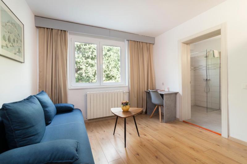 Superior Double or Twin Room image 4