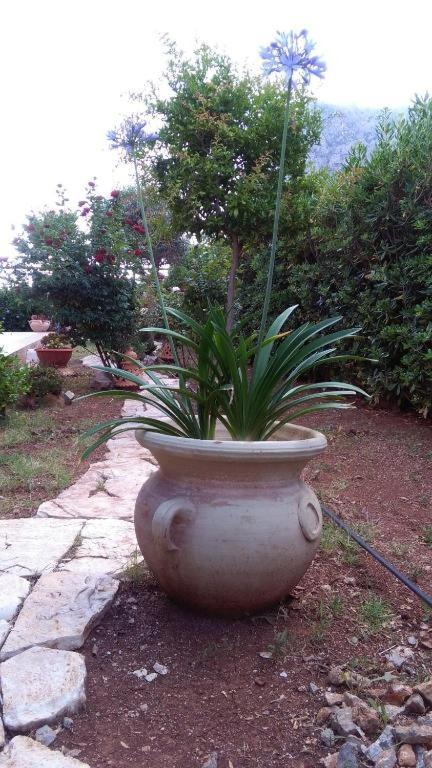VILLA TREROSE by Trerose Properties - Villa centrale con wi-fi e posto auto privato gratuiti - image 16