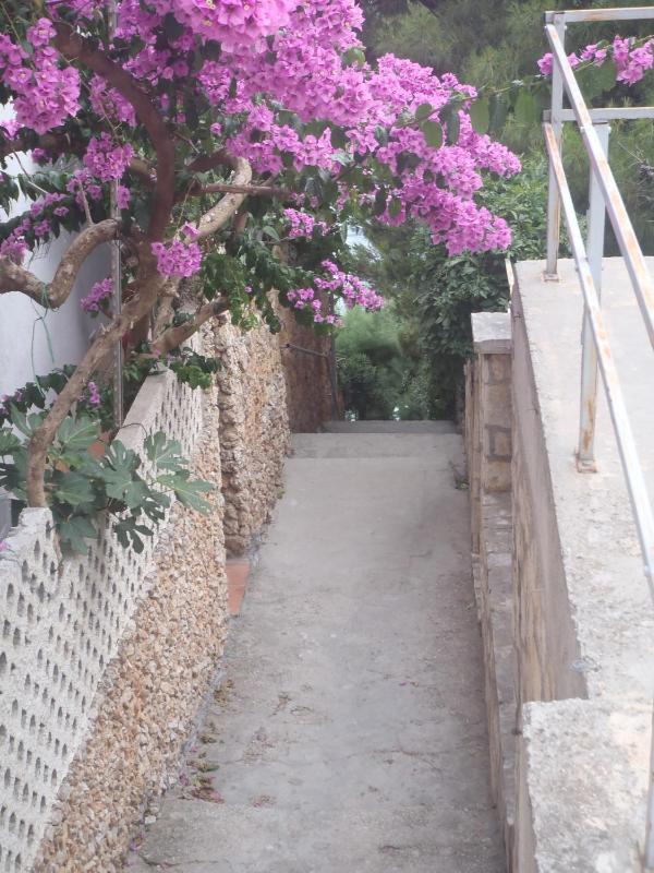 Apartments Villa Stari Koko - image 11